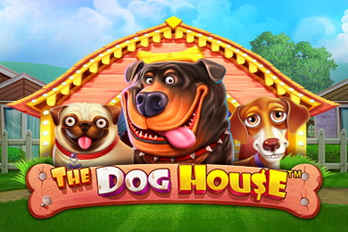 The Dog House слот онлайн Coldbet